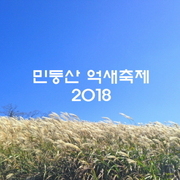 민둥산 억새꽃축제 2018