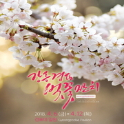 강릉 경포 벚꽃잔치