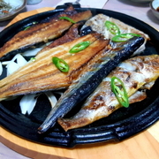 민둥산 맛집_황소고집
